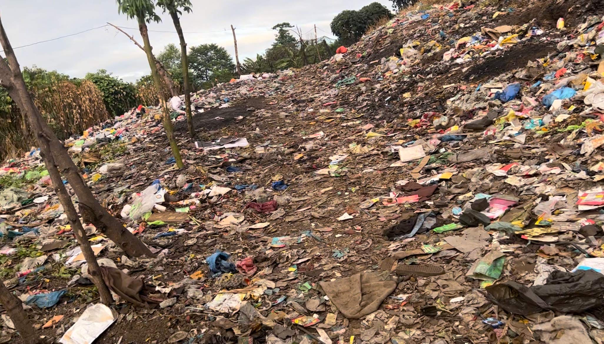 A lot of trash